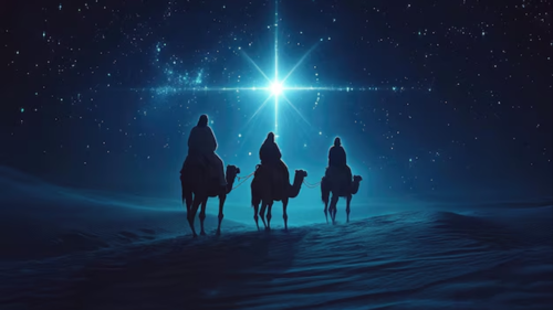 Day 14: The Star That Guides